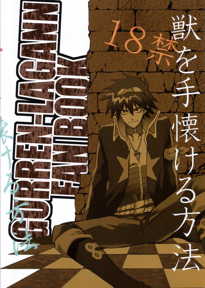 [Mame Teishoku (Tatewaki Mame)] Kemono o Tenazukeru Houhou (Tengen Toppa Gurren Lagann) [English] [Euphoria Scans] page 26 full