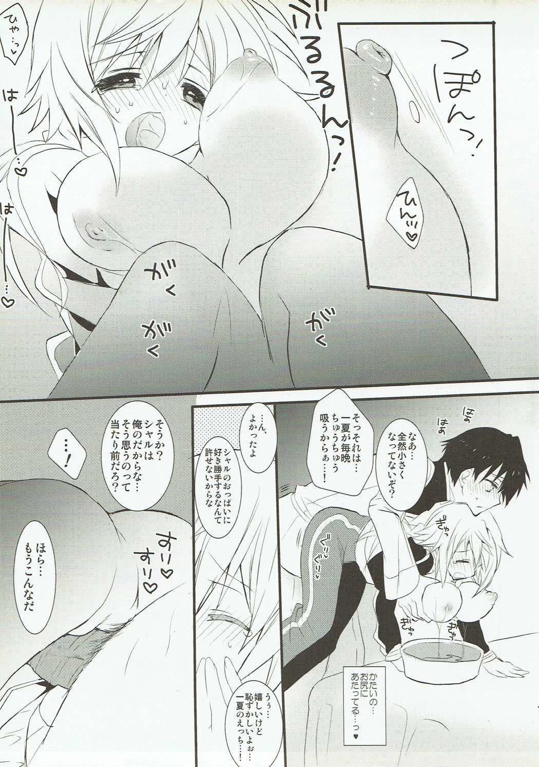 (C80) [Otona Shuppan (Hitsuji Takako)] Char Pai! (IS <Infinite Stratos>) page 10 full