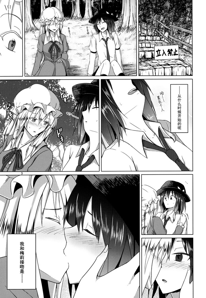 (Kyoukai kara Mieta Keshiki -Musubu-) [Mugendai (Humei)] Hifuu Club ga Hitotsu ni Natta Hi (Touhou Project) [Chinese] [伞尖汉化] page 3 full