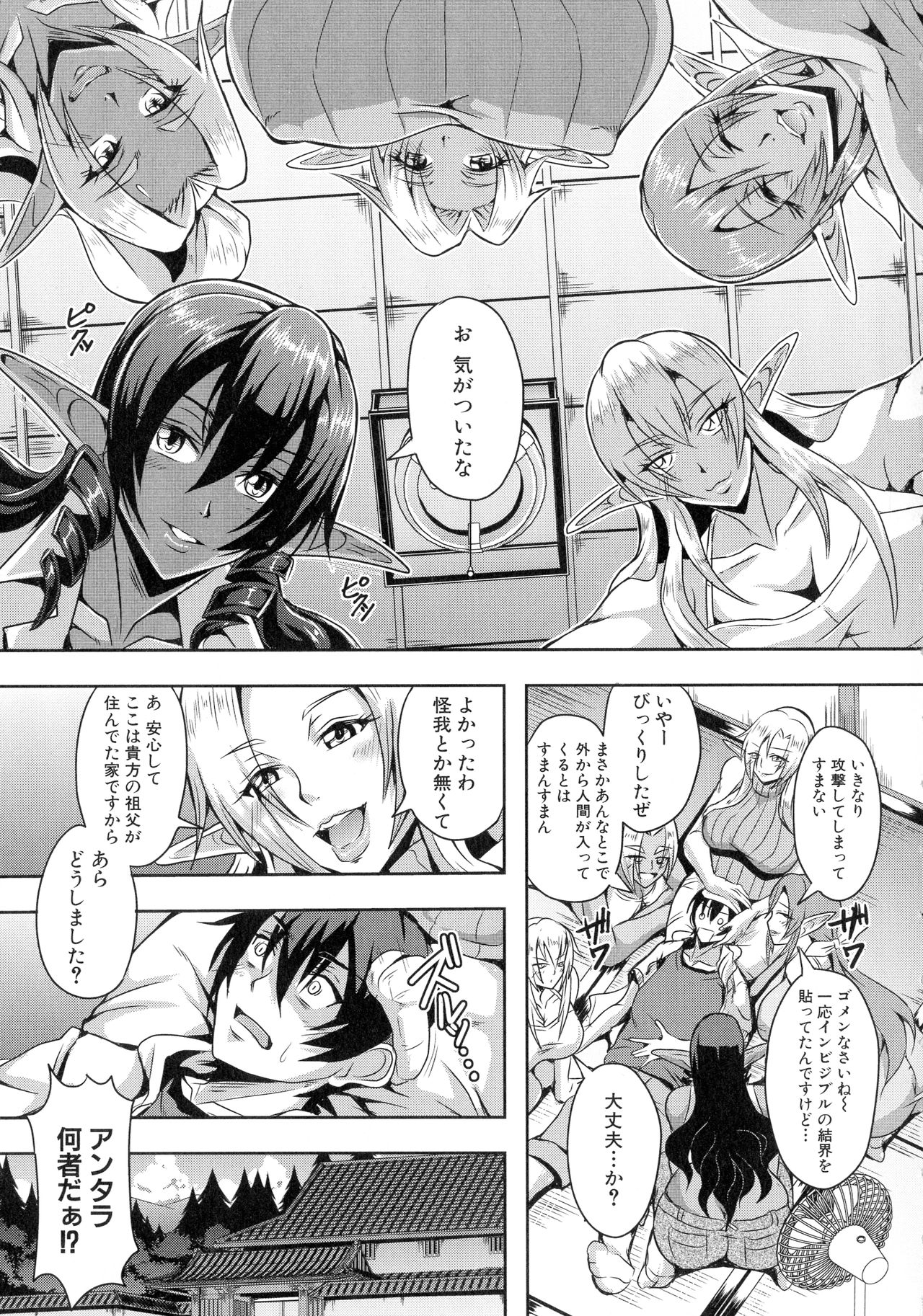 [Mifune Seijirou] Elf Harem Monogatari page 9 full