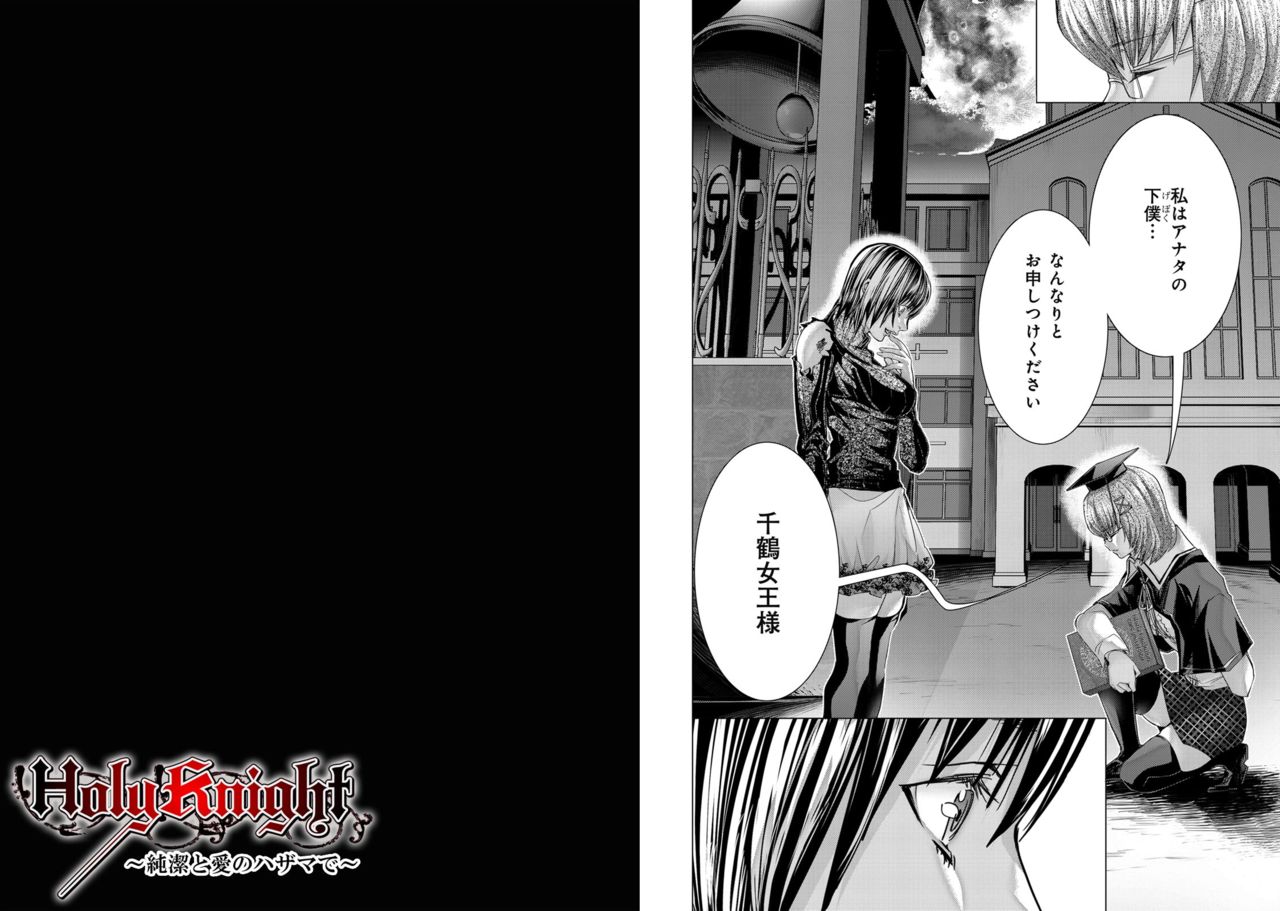 [Miyazaki Maya] Holy Knight ~Junketsu to Ai no Hazama de~ Vol. 11 page 33 full