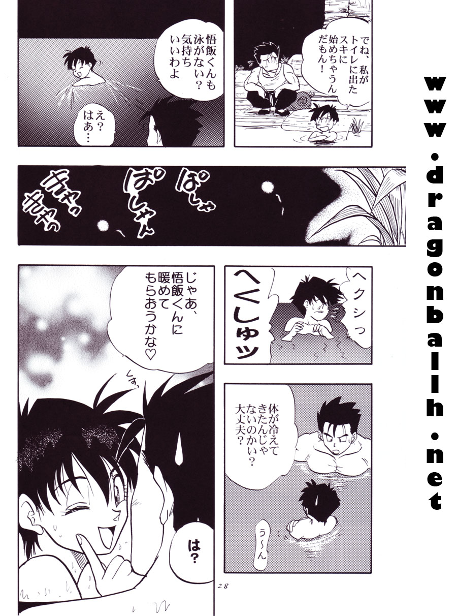 (C54) [Chirigami Goya, Fusuma go Ten (Shoji Hariko)] Tirinuruwo (DRAGON BALL) page 28 full