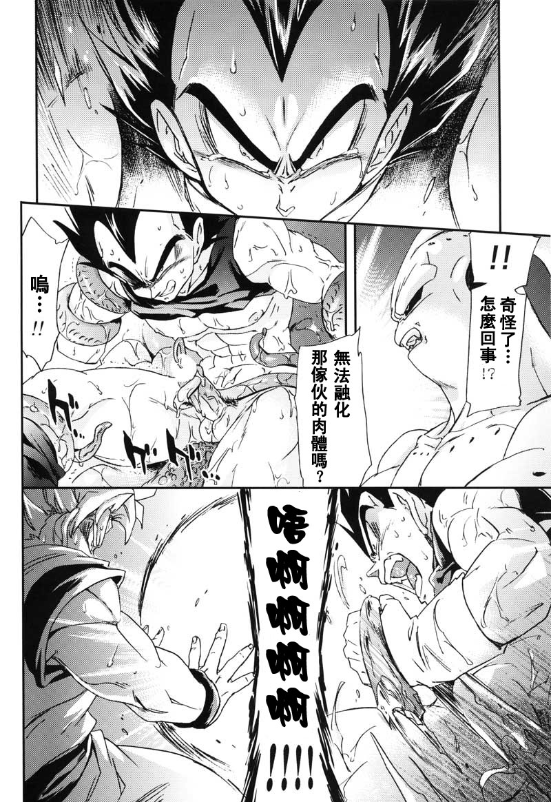 [Dokugunryu (Komakawa Rimi)] MONSTRUO (Dragon Ball Z) [Chinese] page 16 full