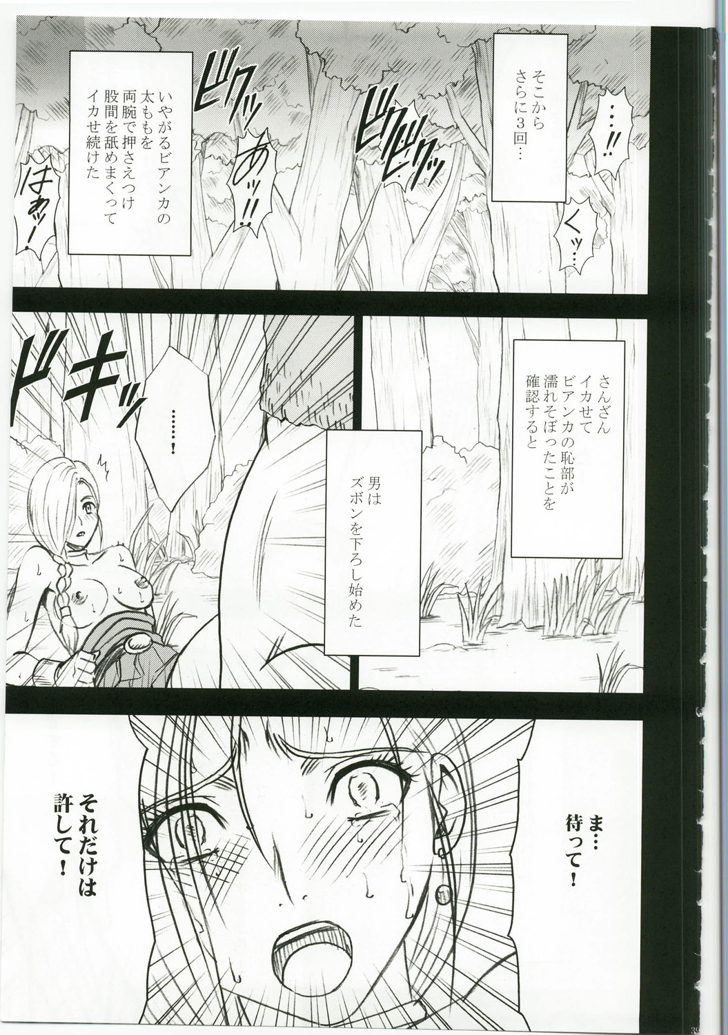 (C74) [Crimson Comics (Crimson)] Bianca Monogatari (Dragon Quest V) page 41 full