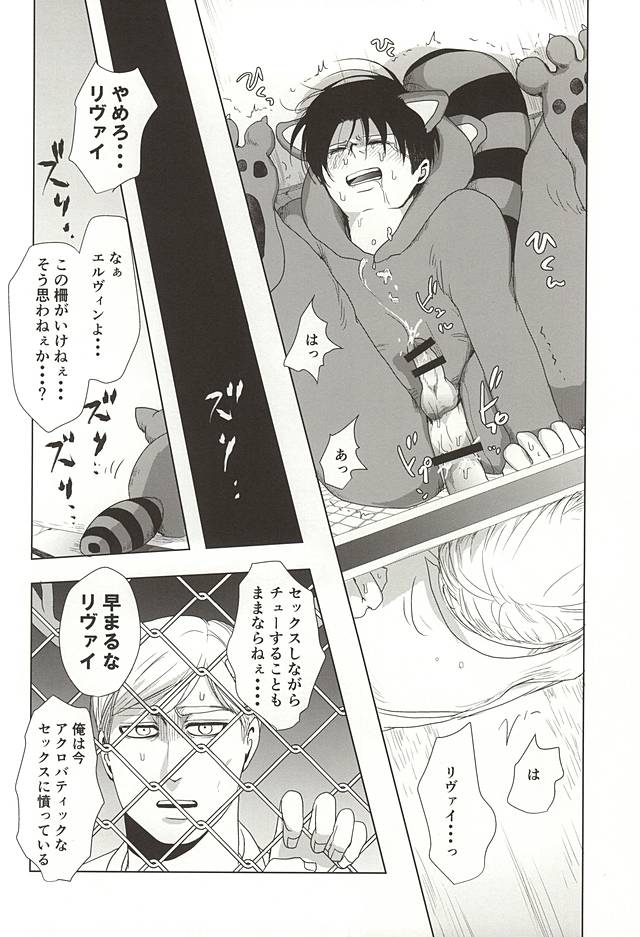 (Souyoku no Kizuna 4) [Pair Bear (Omike)] Araiguma no Levi (Shingeki no Kyojin) page 13 full