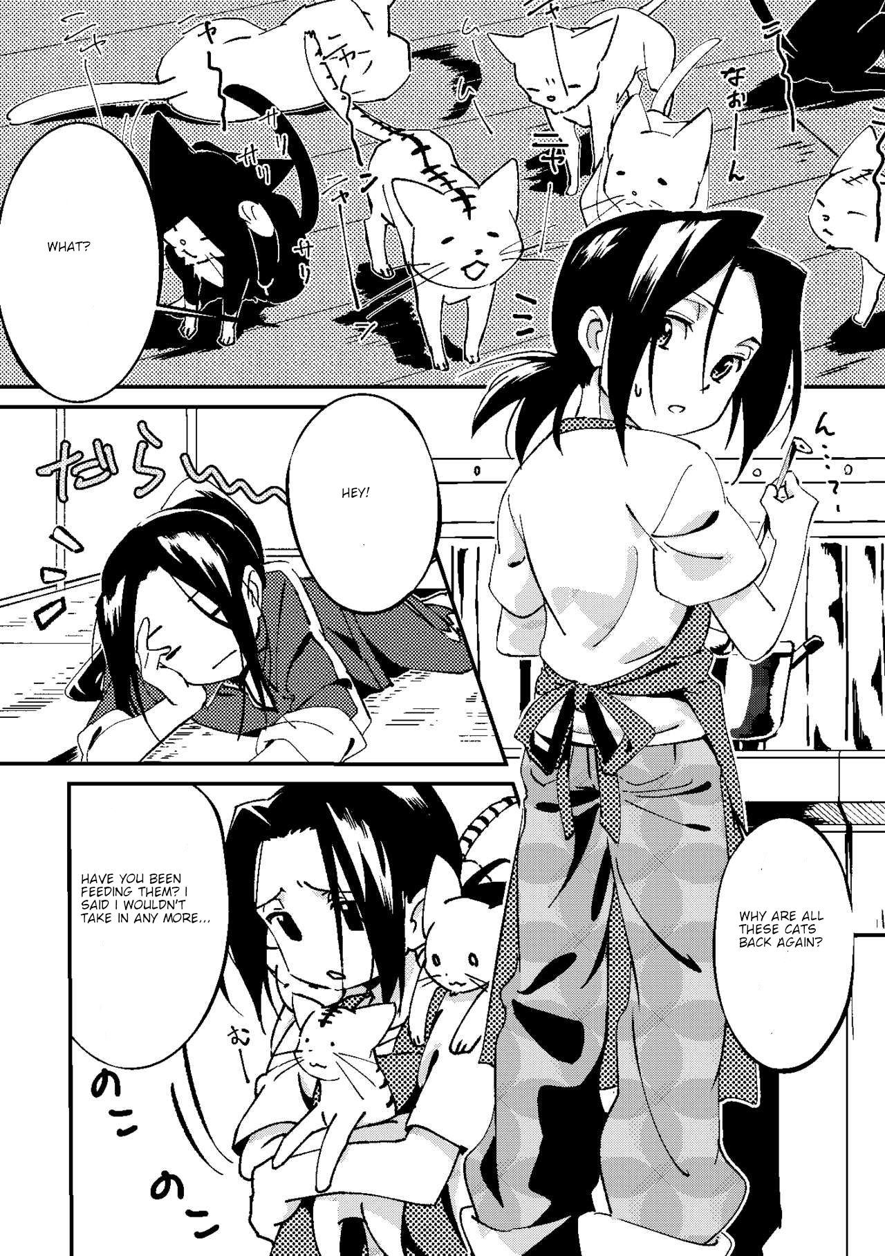 [Boro Goya (Kouheki)] Boro Goya HaoYoh Sairokushuu (Shaman King) [English] [DubleSturf] [Digital] page 17 full