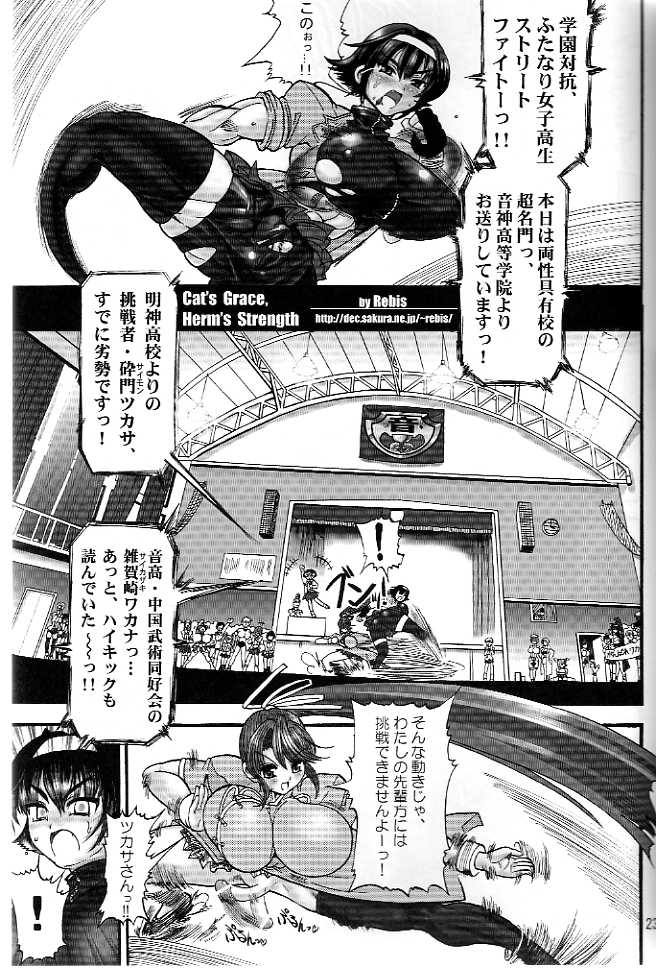 (C66) [Renrakumou AMI Doujin Section] AMI Jiyuuchou Ni Futanarisuto page 21 full