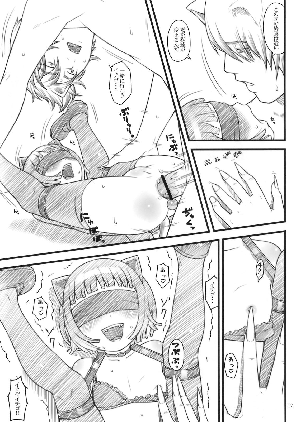 (C75) [Akatama (Sakurafubuki Nel)] Nekodora 1kan page 16 full