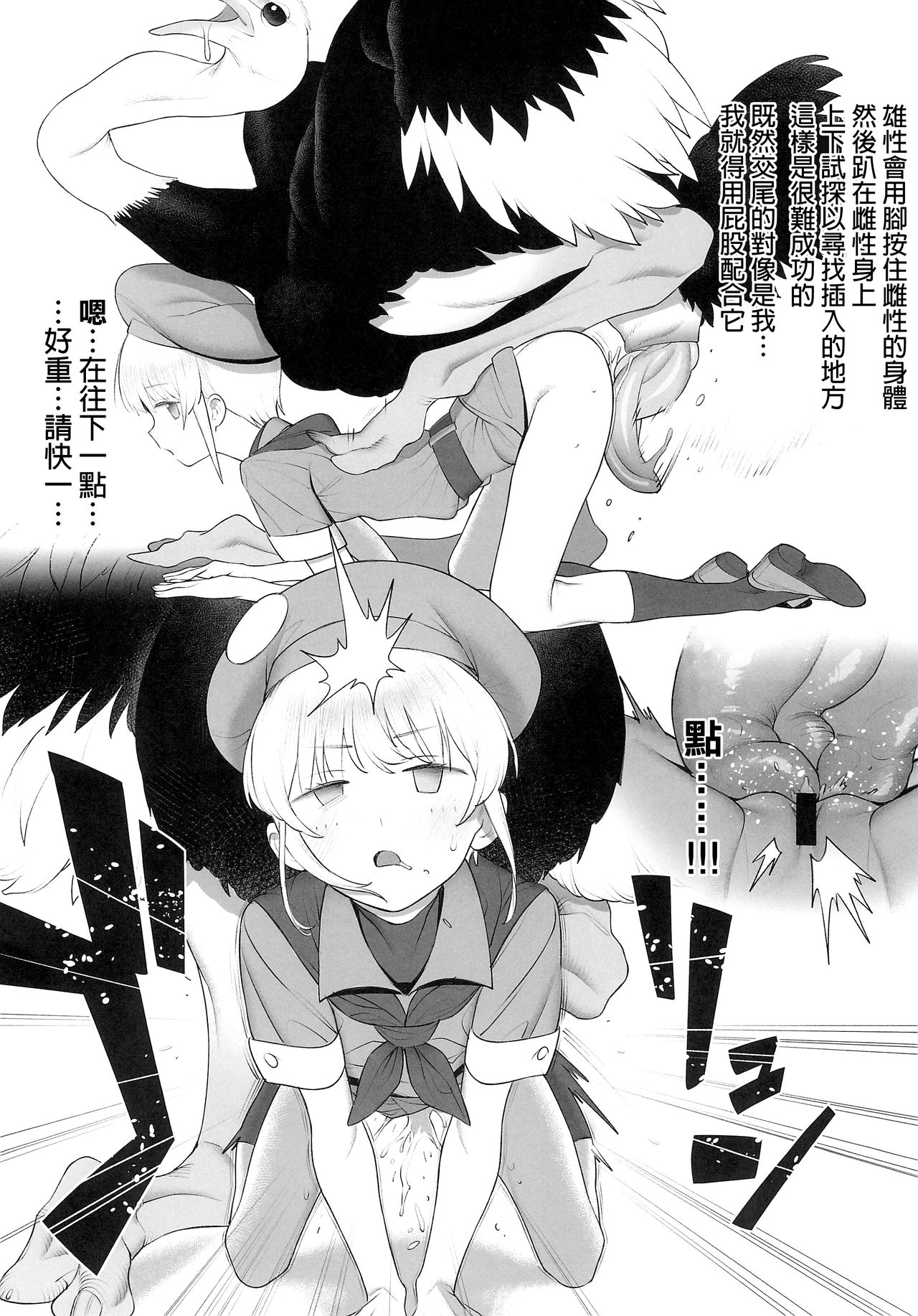 (SC2018 Autumn) [zero-sen (xxzero)] Tori no Kimochi Ii [Chinese] [沒有漢化] page 11 full