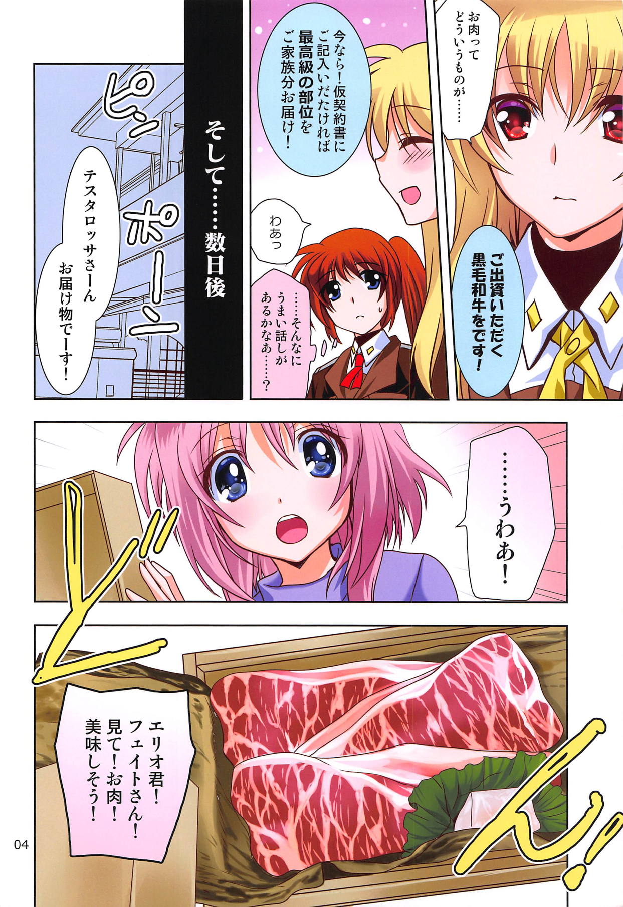 (COMIC1☆15) [PLUM (Kanna)] Magical SEED BBQ (Mahou Shoujo Lyrical Nanoha) page 3 full