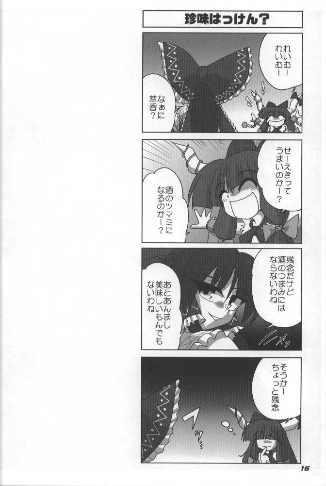 (SC34) [Kieyza cmp (Kieyza)] TOHO N+ (Touhou Project) page 17 full