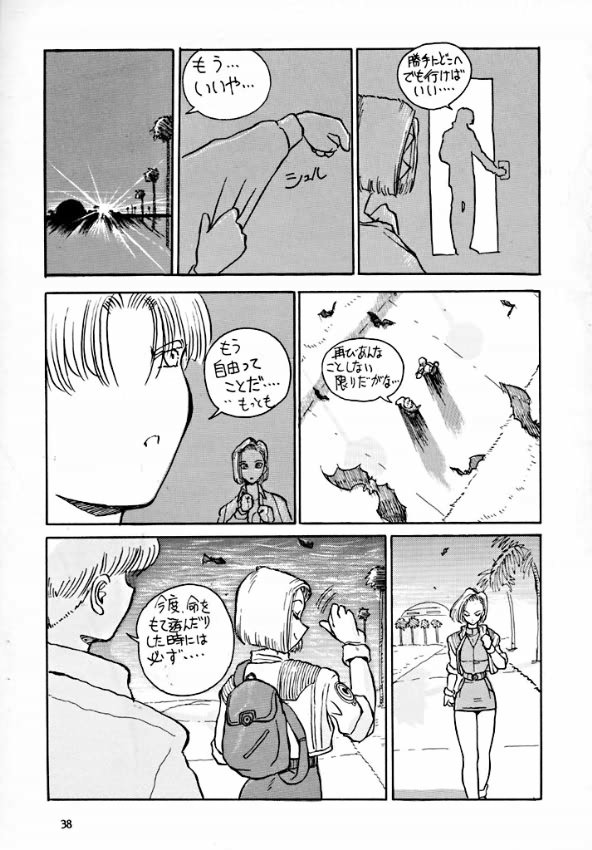 [Oiwaidou] PREY OF BIRD (Dragon Ball) page 40 full