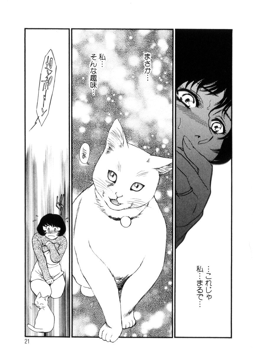 [Fujii Akiko, Akiyama Michio] Hitozuma Moyou 4 Yogarizuma page 22 full