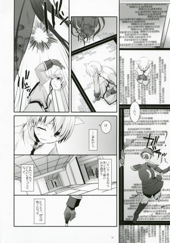(C73) [Digital Lover (Nakajima Yuka)] D.L. Action 41 (Ragnarok Online) - page 15