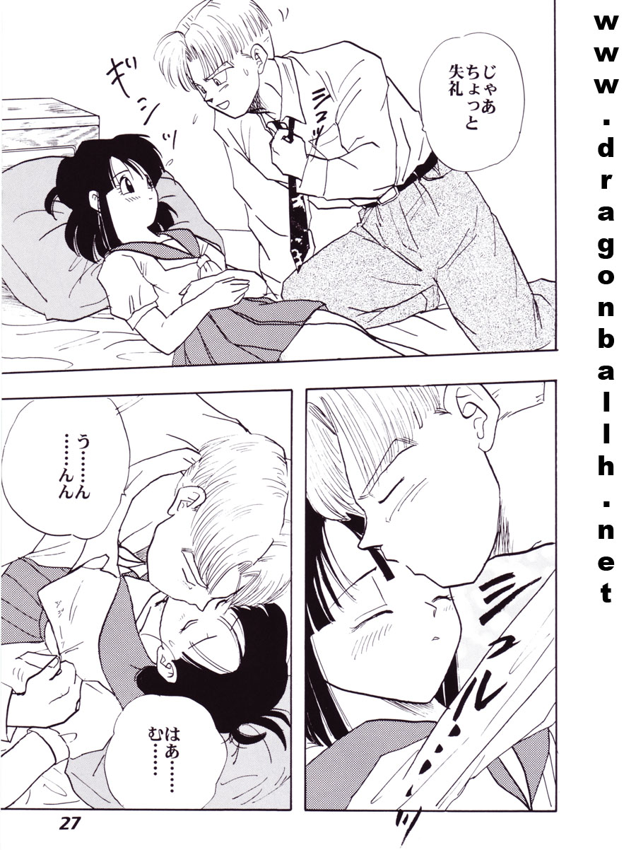 (C52) [Fusuma Goten (Shouji Hariko)] Irohani (Dragonball Z) page 27 full