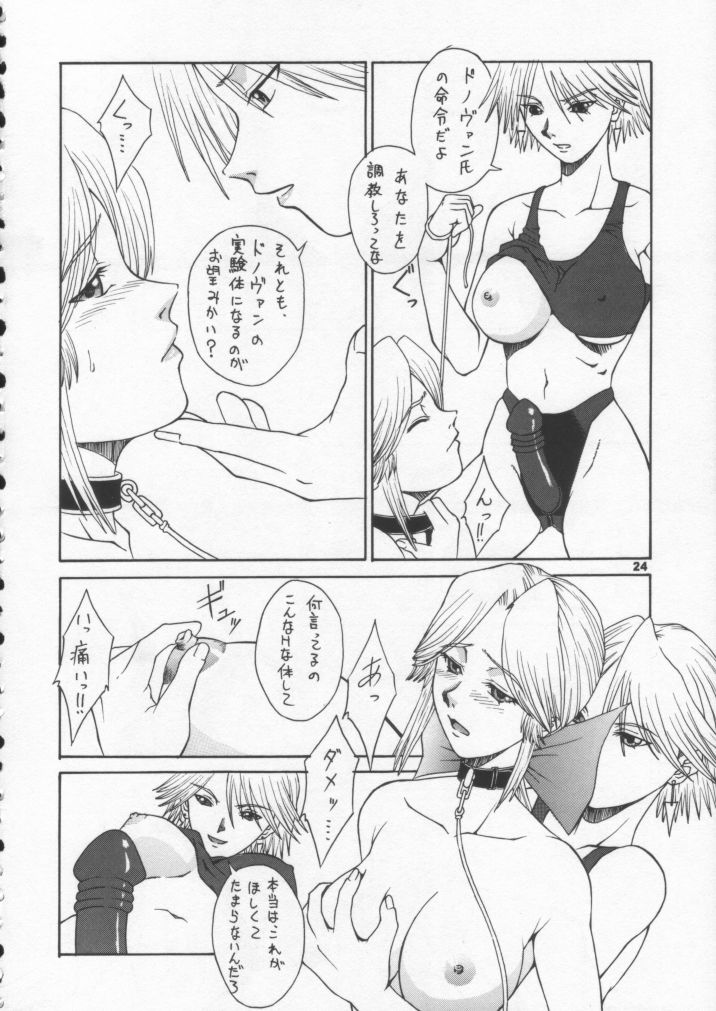 (CR31) [BREEZE (Haioku)] R25 Vol.6 D^3 (Dead or Alive) page 23 full