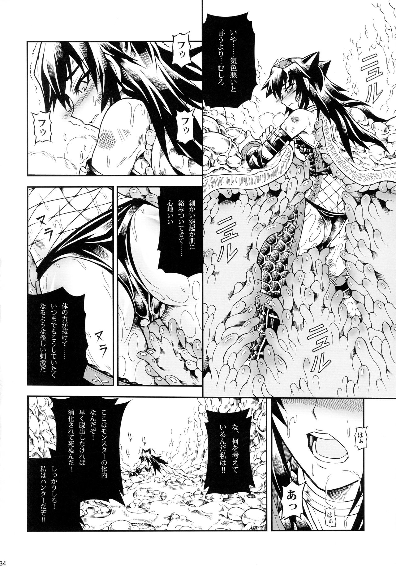 (C90) [Yokohama Junky (Makari Tohru)] Solo Hunter-tachi no Seitai (Monster Hunter) page 34 full