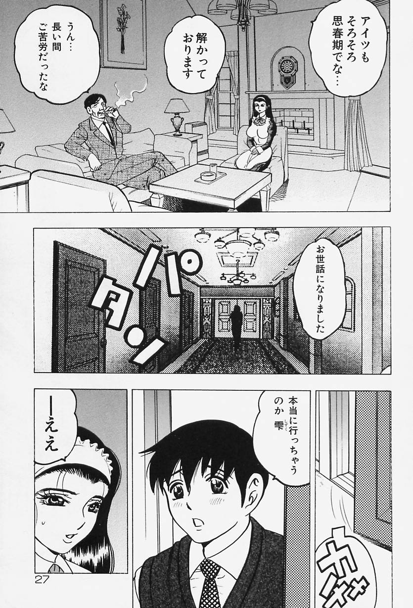 [Bijogi Junction] Shukujo No Seiheki page 29 full