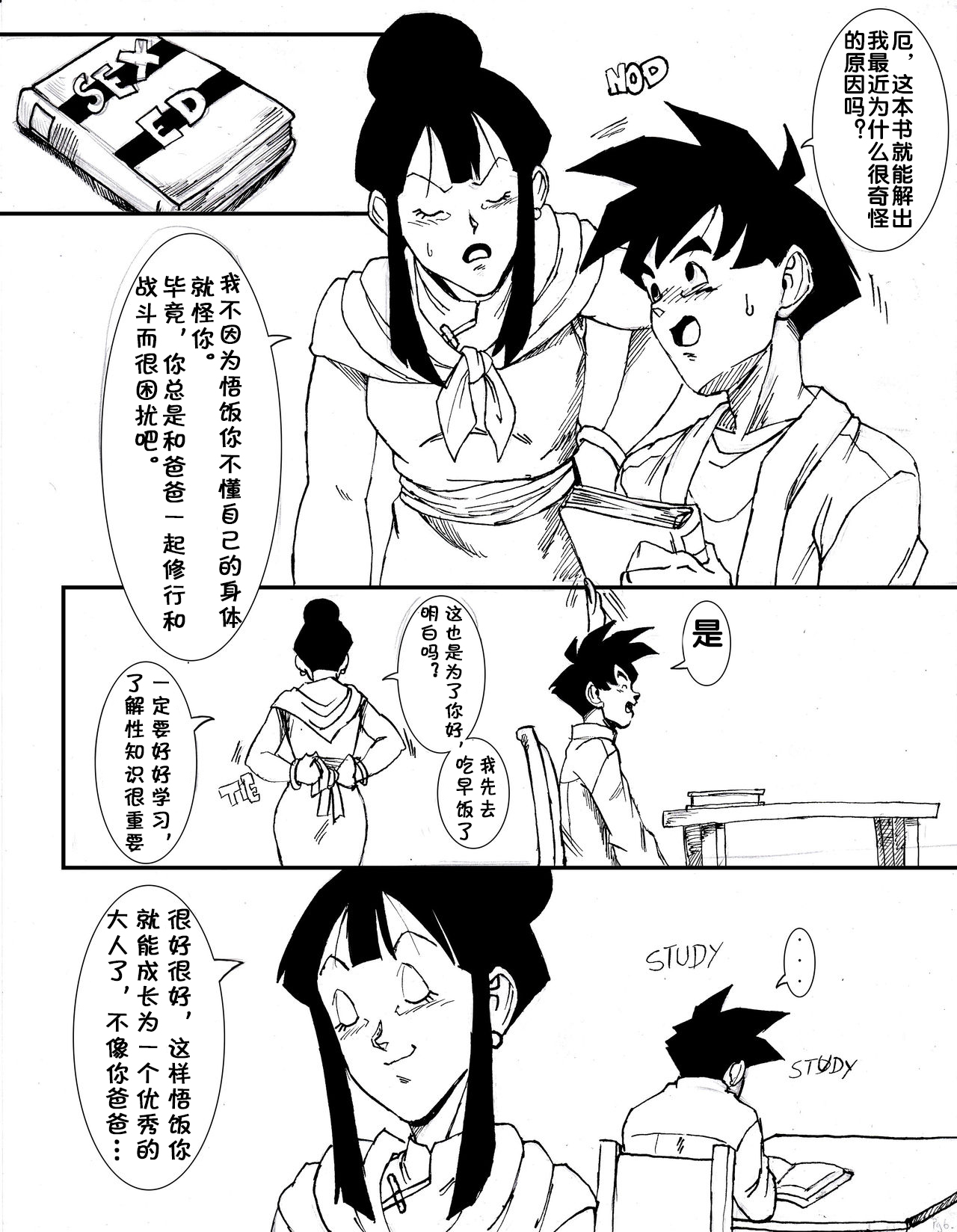 [Aarokira] GohanXChichi (Dragon Ball)[Chinese][流木个人汉化] page 8 full