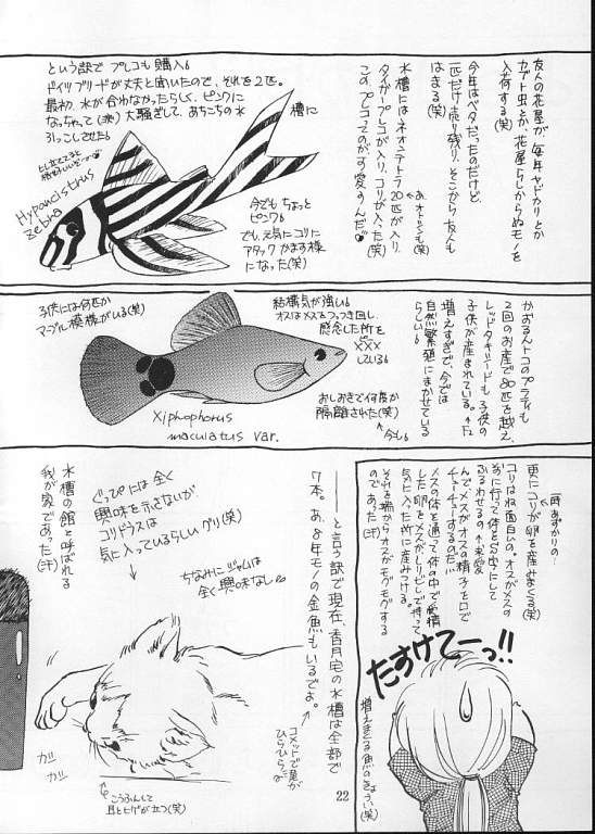 (C49) [Aya PON (Kazuki Kaho)] Tenshi No Shippo  Angel Tail (Kaitou Saint Tail) page 21 full