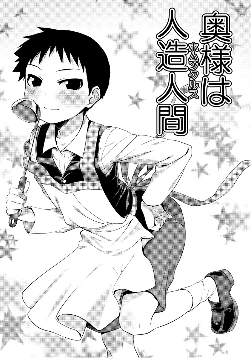 [Yabure Kabure (Agemon)] Okusama wa Homunculus (Fullmetal Alchemist) [Chinese] [沒有漢化] page 2 full