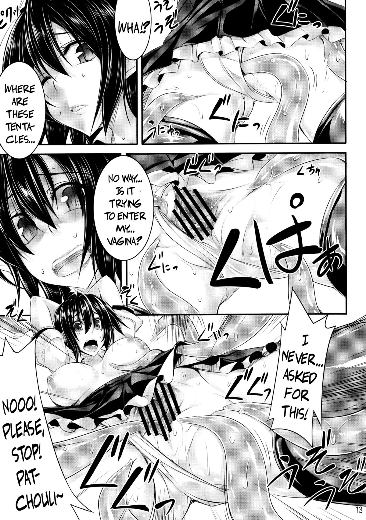 (C84) [Desuno!! (Fuyuwa Kotatsu)] Tosho to Karasu to Tentacle | The Book, the Raven and the Tentacles (Touhou Project) [English] {pesu} page 12 full