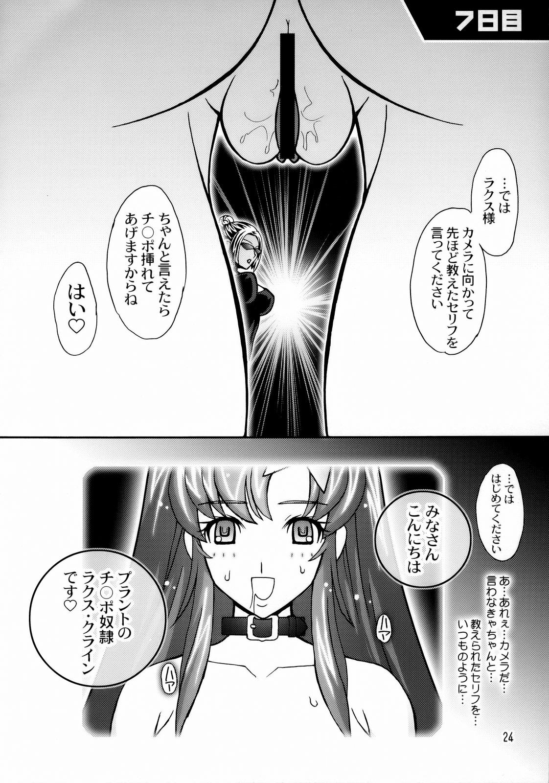 (C70) [Studio Mizuyokan (Higashitotsuka Rai Suta)] HIGH MEER (Gundam SEED Destiny) page 23 full