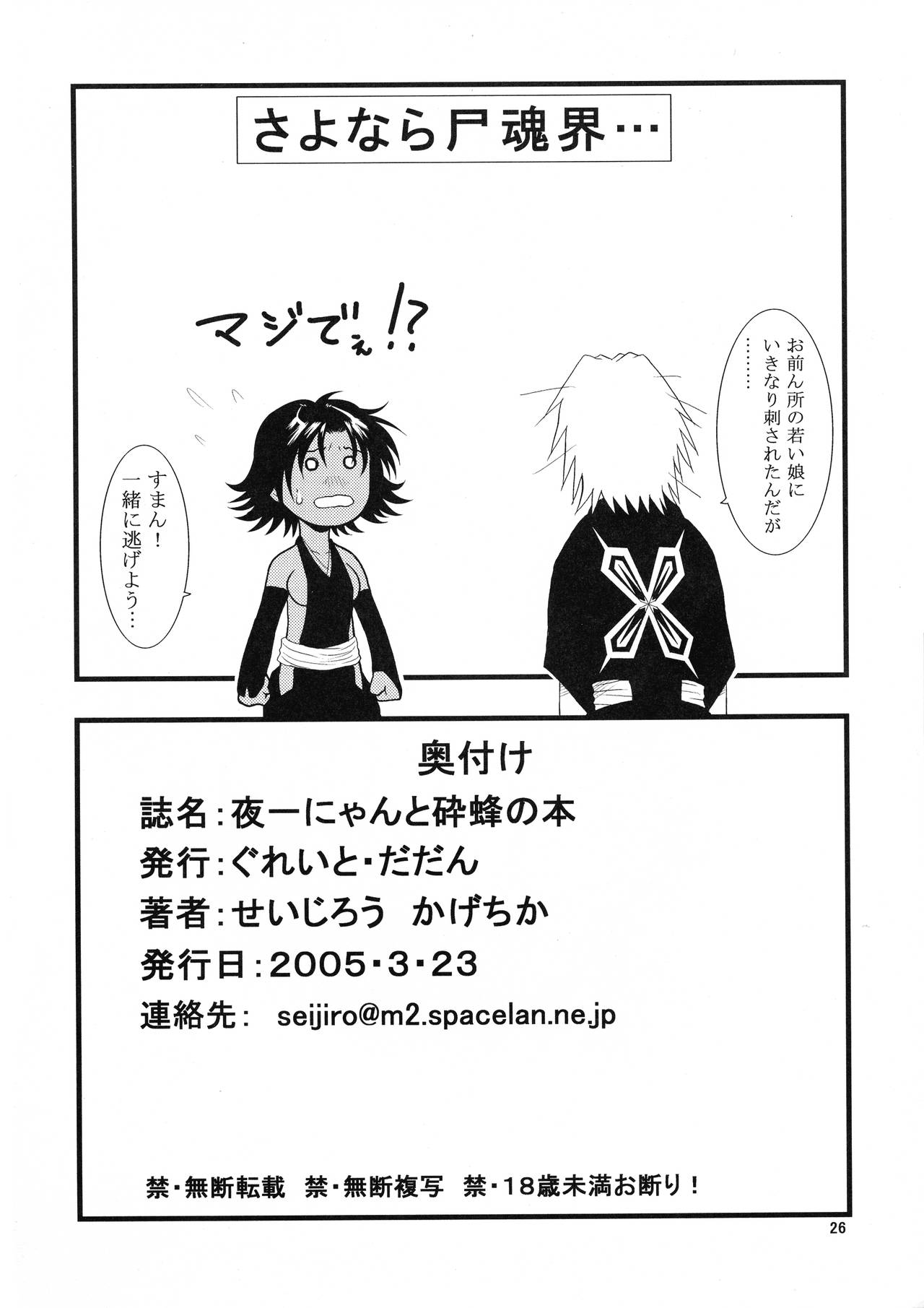 [Great.Dadan (Seijirou Kagechika)] Yoruichi Nyan to Soi Fon no Hon (BLEACH) page 26 full