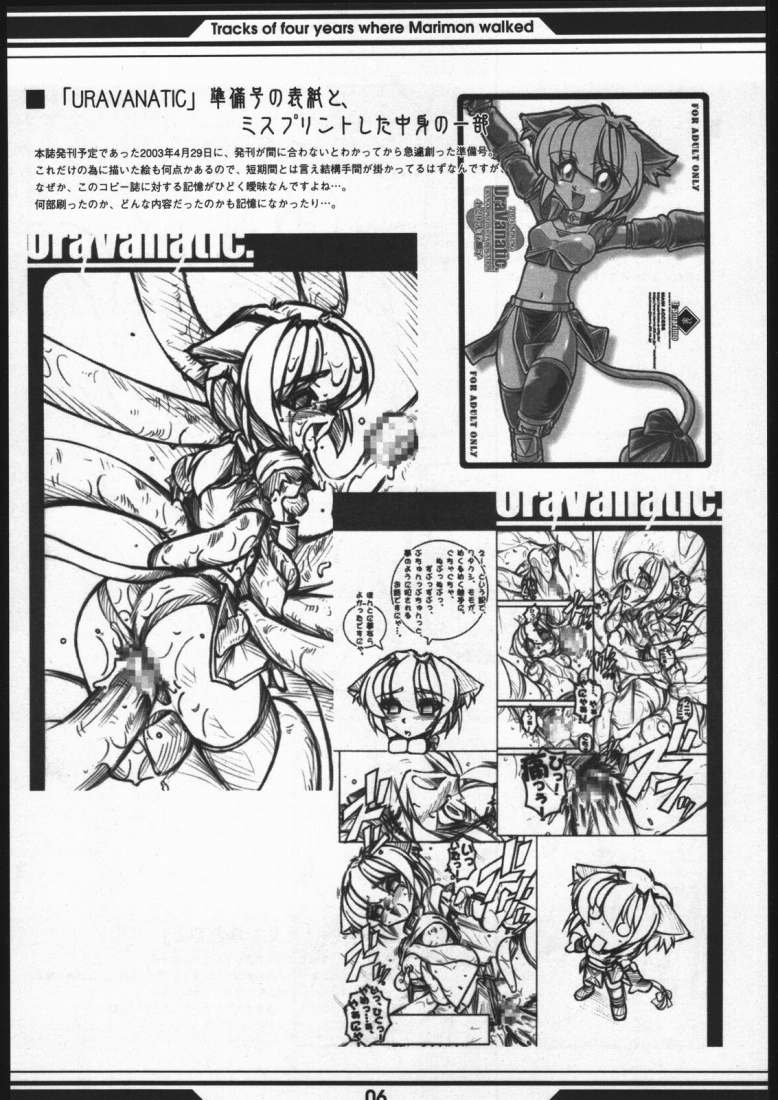 [Wildcat Pirates (MARIMON)] Memory's (Final Fantasy XI) page 5 full