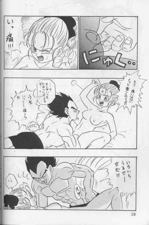 [Dragonball] Okiraku Gokuraku Chou Kairaku page 27 full