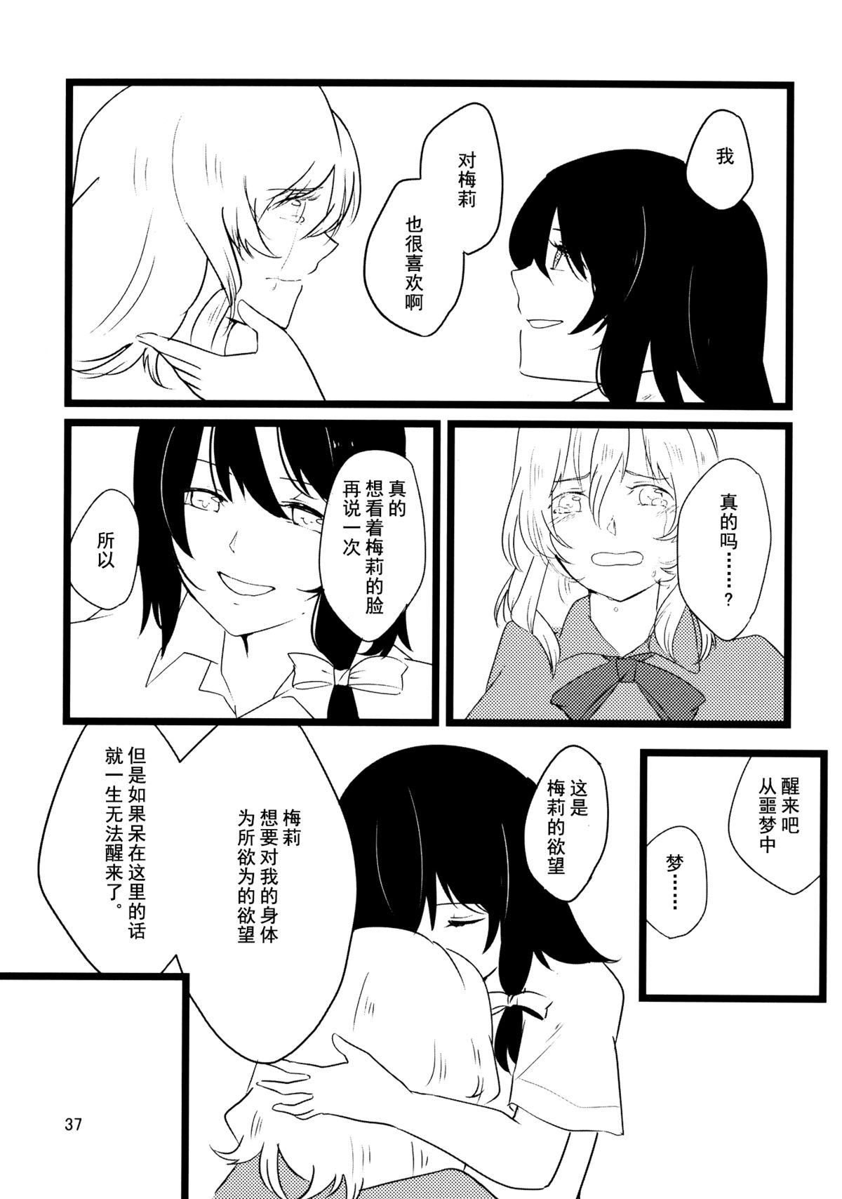 (C86) [Hikalphilia (Monatsu)] Euphoria (Touhou Project) [Chinese] [烂肉×伞尖] page 37 full