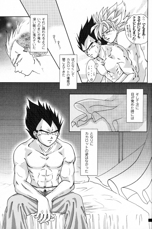 [GREFREE (ema)] Blaze (DRAGON BALL Z) page 17 full