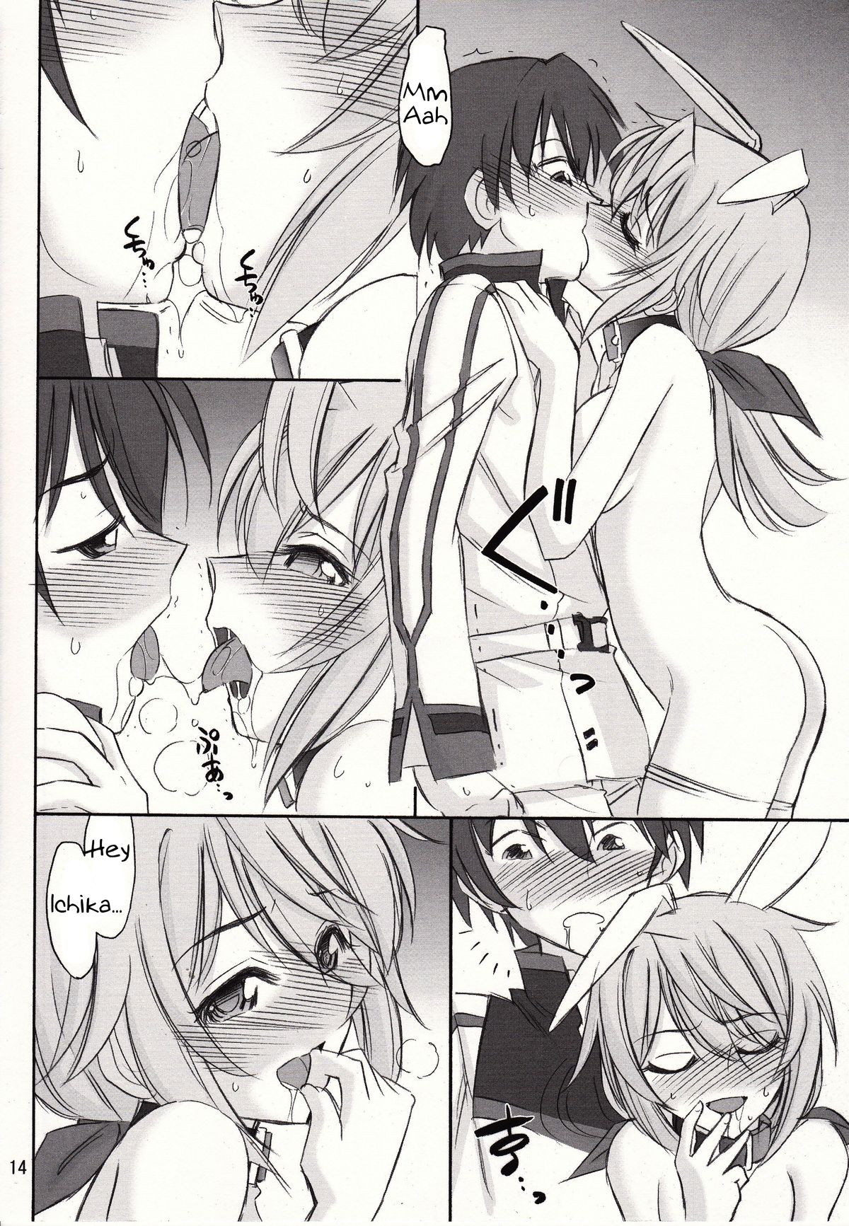 (C81) [EINSATZ GRUPPE {Charlie Nishinaka)] Black & White (IS <Infinite Stratos>) [English] [Tigoris Translates] page 15 full