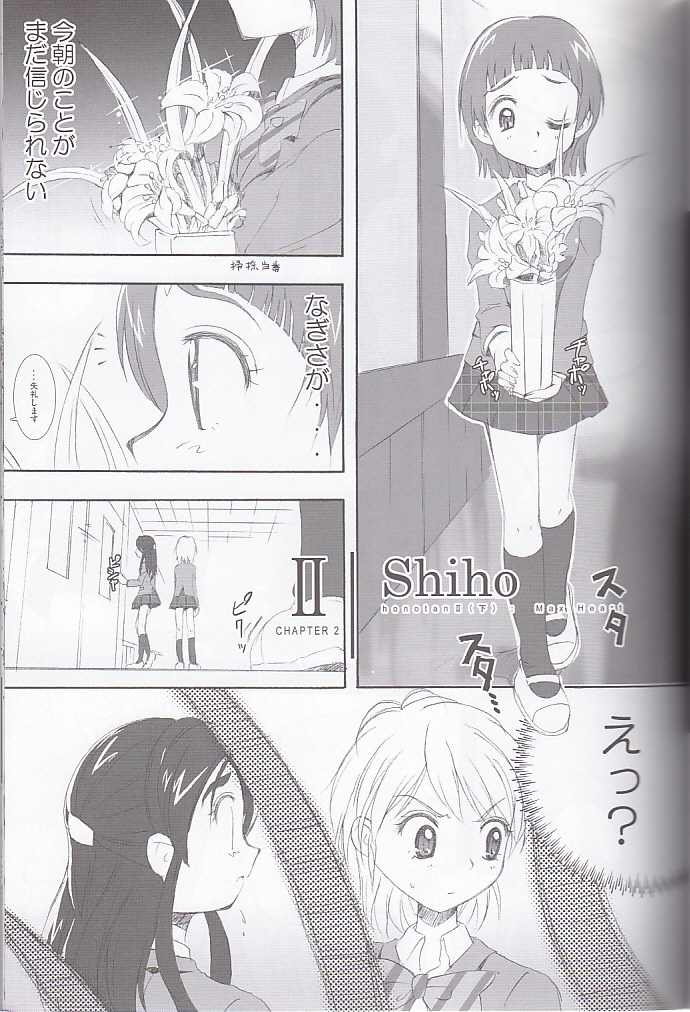 (SC27) [Moe Moe Cafe (Shitto)] honotan ll - Max Heart (Futari wa Precure) page 17 full