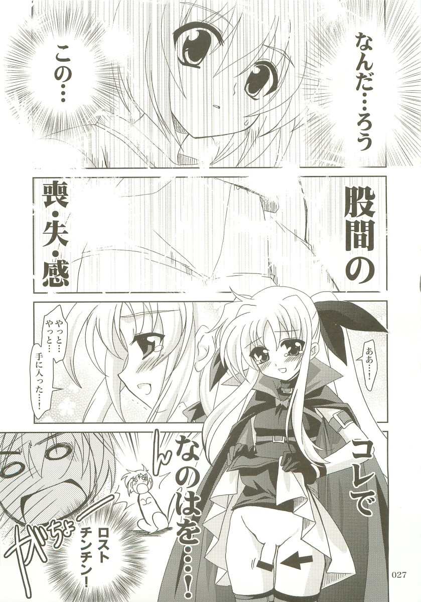 (C73) [PLUM (Kanna)] Mahou Shoujo Magical SEED  Soushuuhen X (Mahou Shoujo Lyrical Nanoha) page 26 full