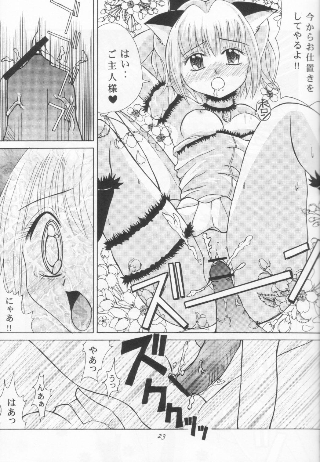 [Genki Honpo (Daifuku Keiji, Saranoki Chikara)] Tokyo Nekomusume (Tokyo Mew Mew) page 22 full