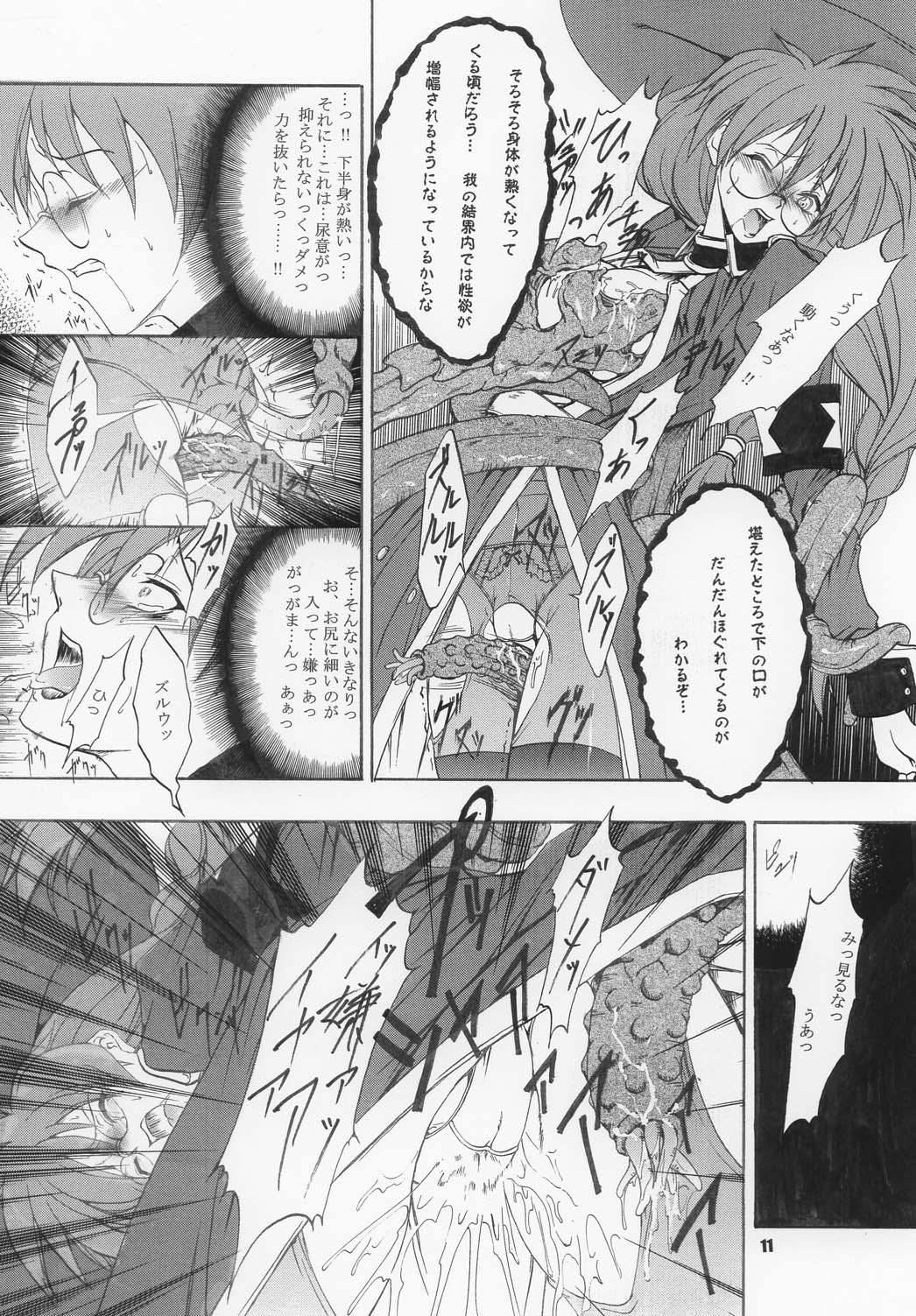 (C63) [FAKESTAR (Miharu)] VIOLET FIZZ (Shikigami no Shiro) page 11 full