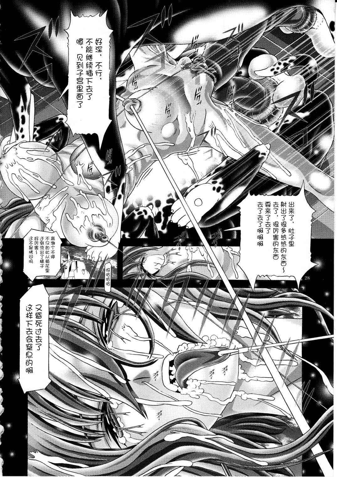 (C77) [Kaki no Boo (Kakinomoto Utamaro)] RANDOM NUDE Vol.5 92 〔STELLAR LOUSSIER〕 (Gundam Seed Destiny)【chinese】 page 29 full