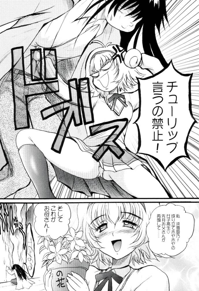 (C62) [Akahira Kirin (Akahira Kirin)] Bi TO 3 (Shin Shirayuki Hime Densetsu Pretear) page 4 full