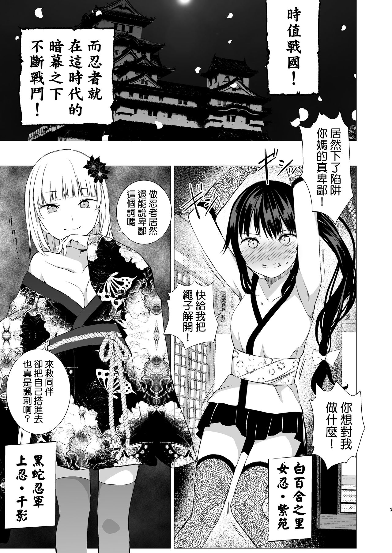 [Harumachi Tsurara (Shichoson)] Oshinobi Shoujo no Asobikata [Chinese] [Digital] page 3 full