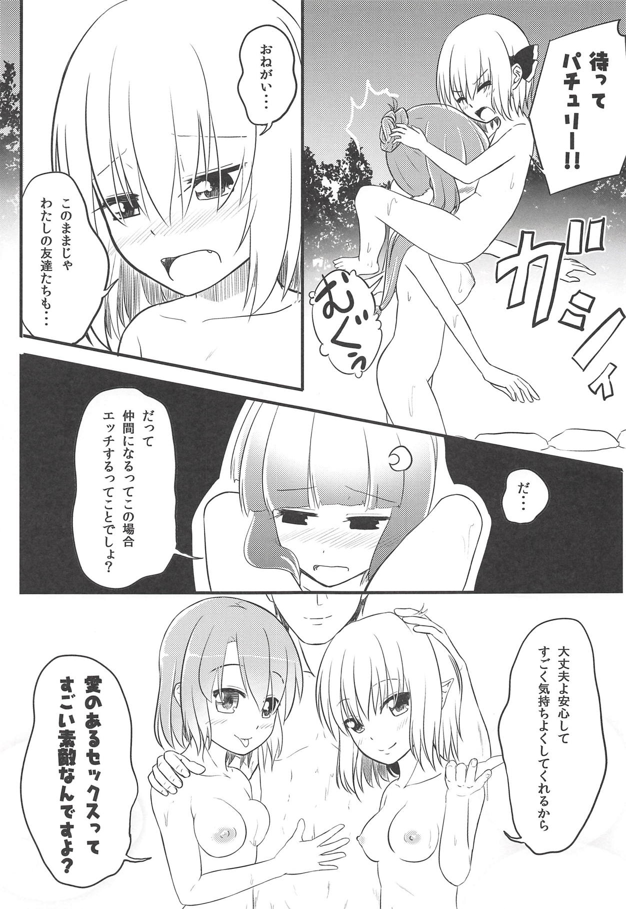 (Reitaisai 13) [Wasshoi Koubou (Hayami Sakura)] Youkai Shoujo no Aishikata 3 (Touhou Project) page 12 full