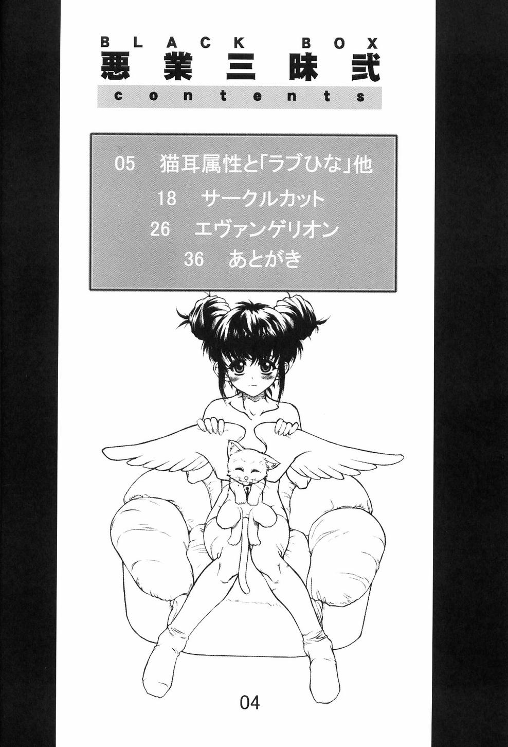 (C63) [AXZ (Harukaze Koucha)] Akugou Sanmai Ni | BLACK BOX (Neon Genesis Evangelion) page 3 full