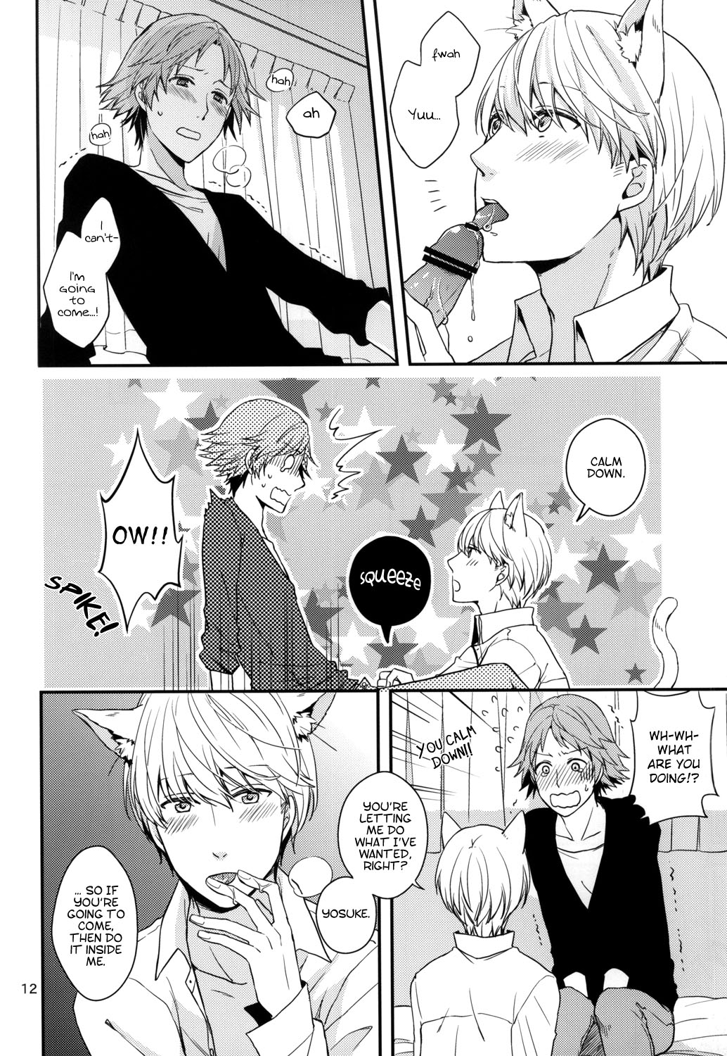 (C83) [Swallow Sky (Rihara)] CRAZY CAT LOVER (Persona 4) [English] [Kuro] page 11 full