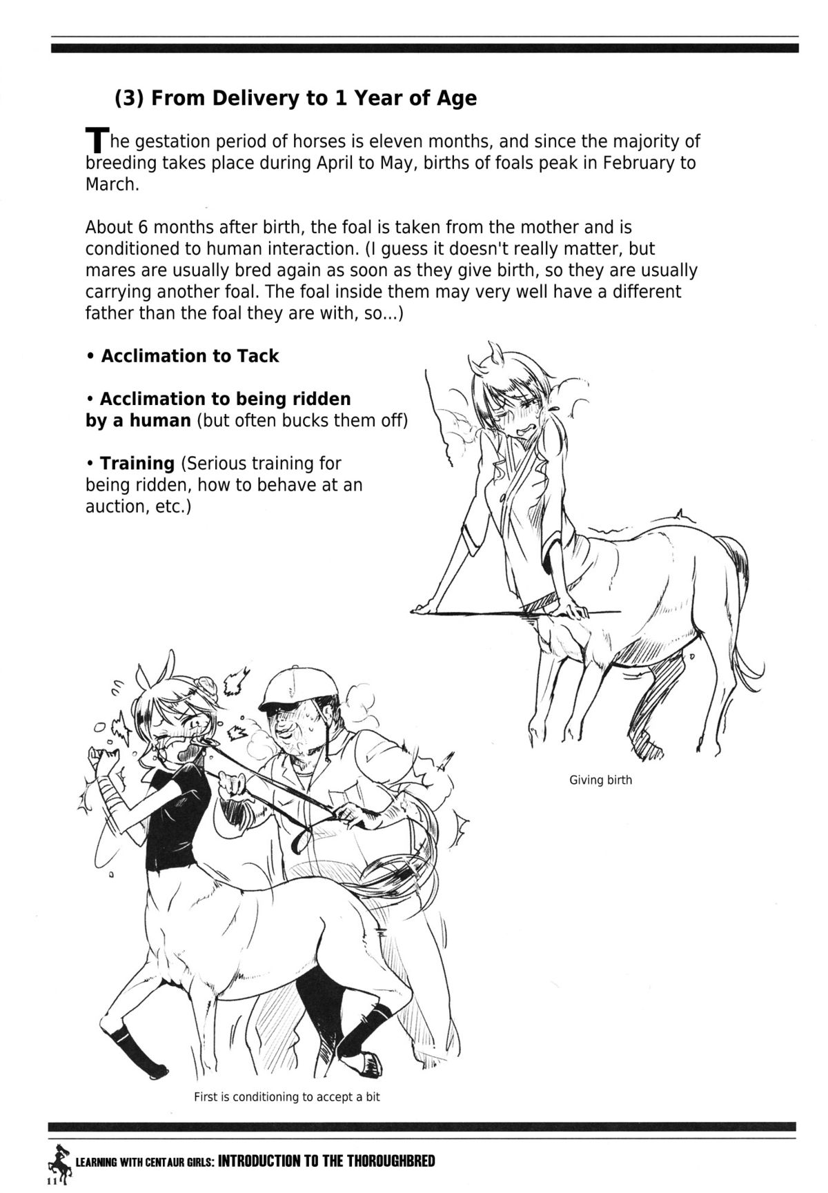 (C83) [Hyakki Yakou (Z-ton)] Centaur Musume de Manabu Hajimete no Thoroughbred | Learning With Centaur Girls: Introduction To The Thoroughbred [English] [4dawgz + Thetsuuyaku] page 10 full