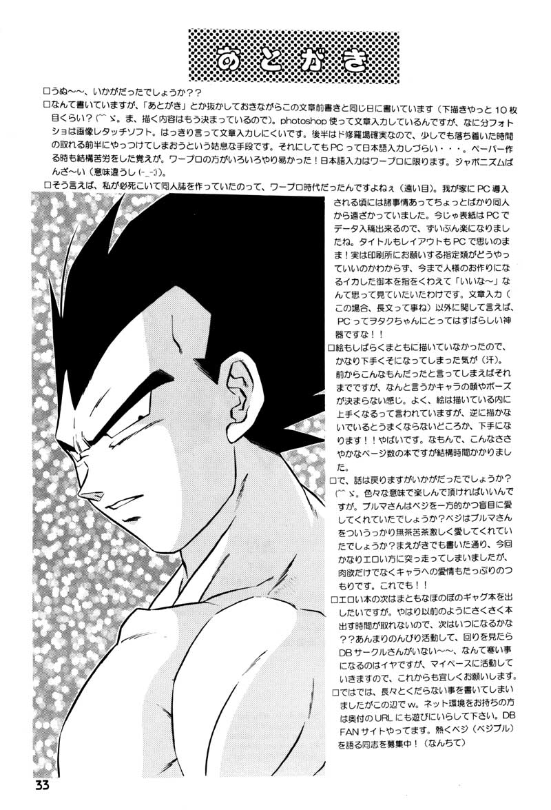 (C63) [Ryujin-kai (HITO Ribuki)] GIFT (Dragon Ball Z) page 31 full