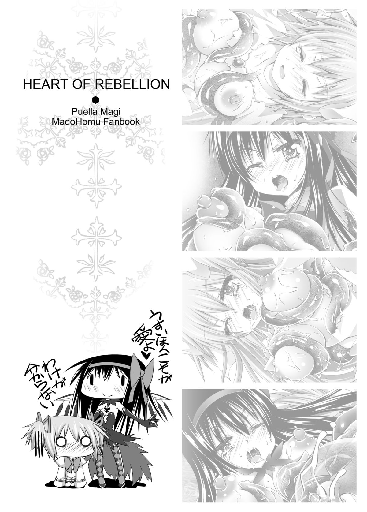[SEKI Craft (SKF)] HEART OF REBELLION (Puella Magi Madoka Magica) page 2 full