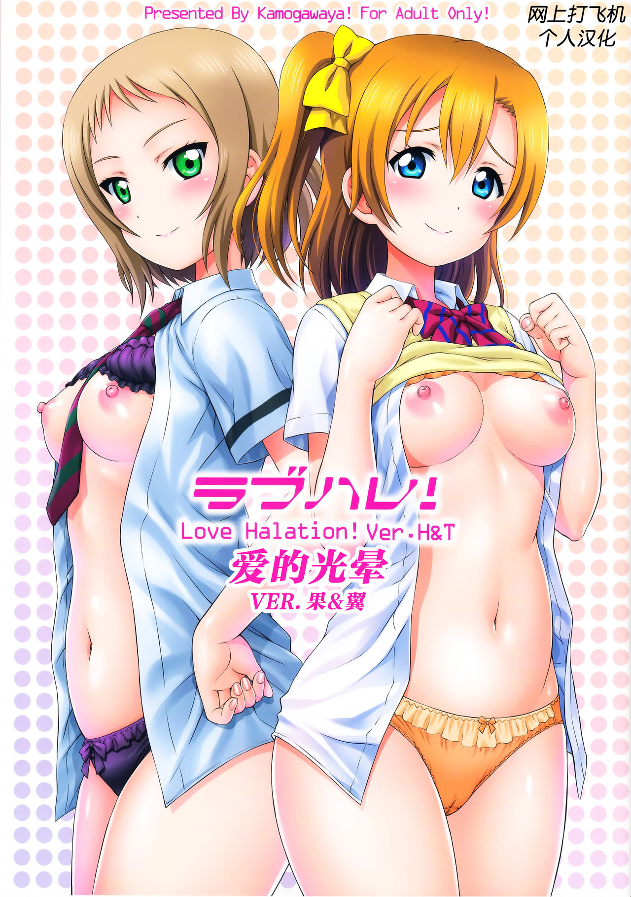 (C94) [Kamogawaya (Kamogawa Tanuki)] LoveHala! Love Halation! Ver.H&T (Love Live!) [Chinese] [网上打飞机个人汉化] page 2 full