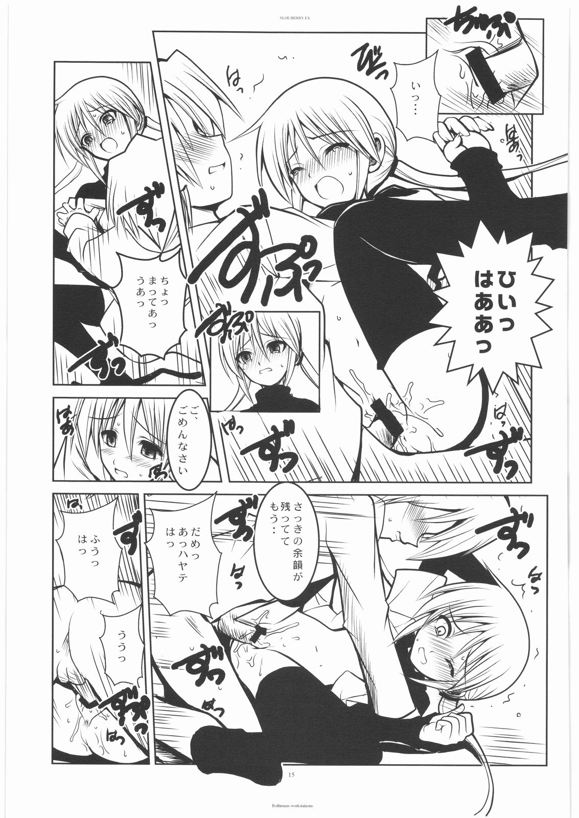 [R-WORKS] SLOE BERRY II (Hayate no Gotoku!) page 14 full