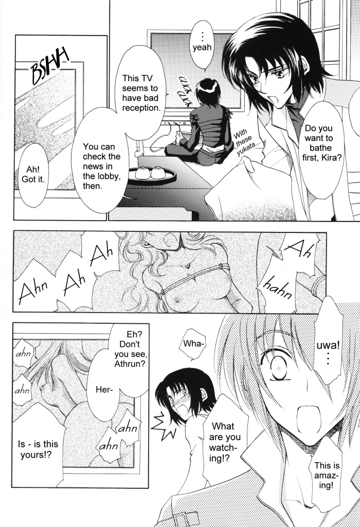 [Yougekishu (Arina Toshimi)] sweet honey moon (Gundam SEED DESTINY) [English] [Arigatomina] page 5 full