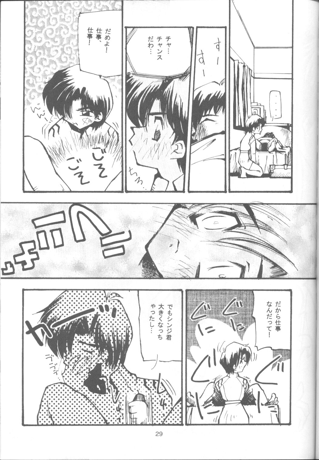 [Paradise City (Various)] Tabeta Kigasuru 17 (Neon Genesis Evangelion) page 28 full